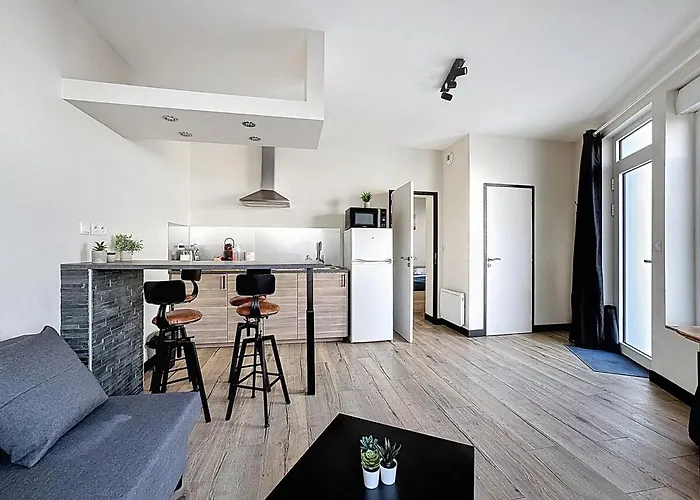 Апартаменты Lumineux En Rez-de-chaussee Vers Chu